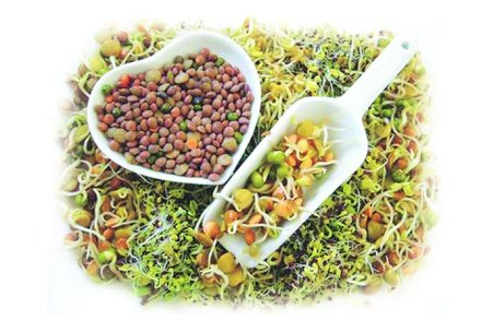 थंडीतील सर्वसाधारण आहार