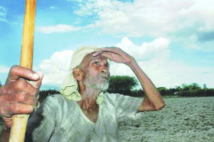 दुसरी एक गोष्ट म्हणजे, मनरेगामध्ये कामासाठी येणारा हा केवळ शेतमजूर आहे