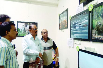 दुर्मीळ वन्यजीवांचे छायाचित्र प्रदर्शन