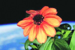 नव्या कृषिक्रांतीकडे..