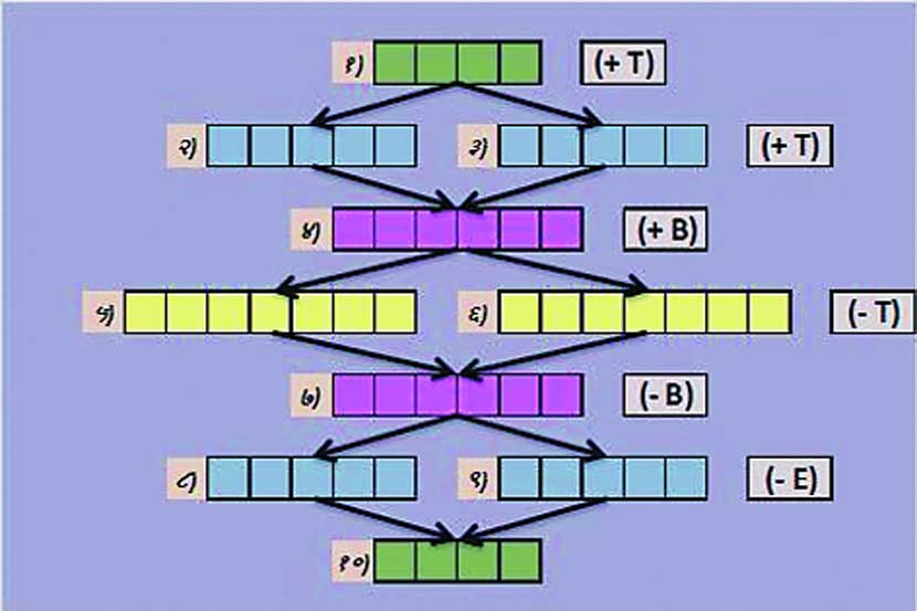डोकॅलिटी