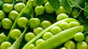 green peas, मटार