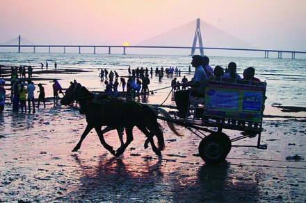 मुंबईतील घोडागाडीला जुंपलेल्या घोडय़ांची जबाबदारी यापुढे महापालिकेला स्वीकारावी लागणार आहे. 