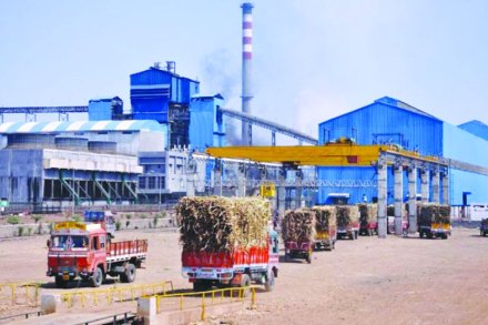 संग्रहित छायाचित्र संग्रहित छायाचित्र