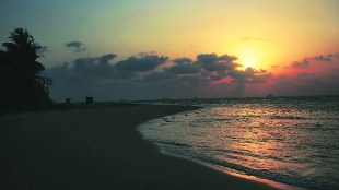 Makar Sankranti 2025 Marathi News| Know importance about Makar Sankranti