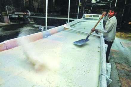राज्यातील निम्म्याहून अधिक साखर कारखाने अडचणीत