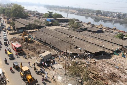 तबेला हटविण्यासाठी हालचाली