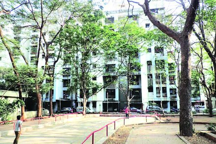 नव्या ठाण्यातील एक प्रसन्न ऋतू..