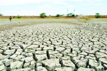 उष्णतेच्या लाटेने ५ हजार ‘मामा’ तलाव आटले उष्णतेच्या लाटेने ५ हजार ‘मामा’ तलाव आटले