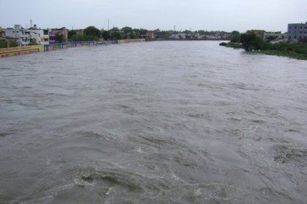 तलावांच्या प्रदूषणाची पातळी आणखी खालावत असल्याचे स्पष्ट झाले आहे. तलावांच्या प्रदूषणाची पातळी आणखी खालावत असल्याचे स्पष्ट झाले आहे.