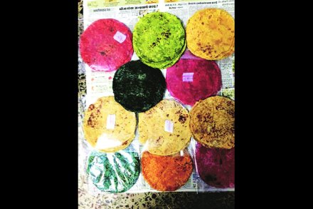 २१ चवींच्या पुरणपोळय़ा आता संकेतस्थळावर