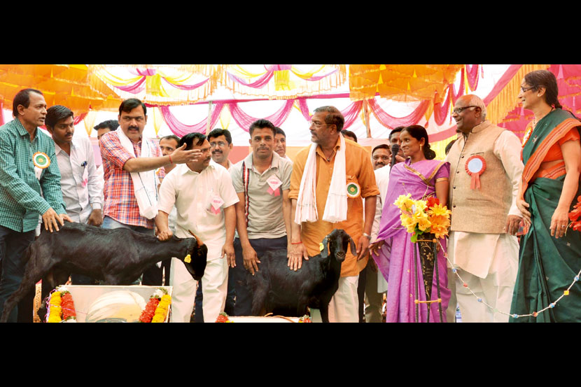 ‘सातव्या वेतन आयोगाची रक्कम शेतक ऱ्यांना द्यावी’ – नाना पाटेकर ‘सातव्या वेतन आयोगाची रक्कम शेतक ऱ्यांना द्यावी’ – नाना पाटेकर