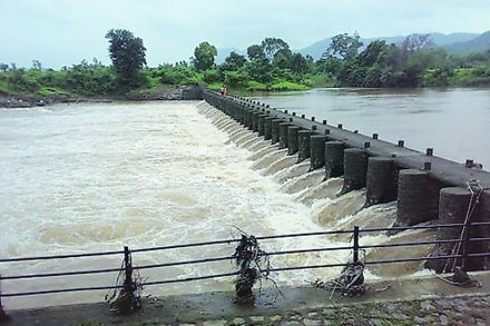 ‘सूर्या’च्या पाण्याला झाडांचा अडथळा