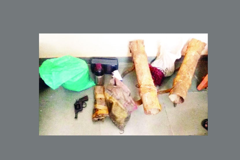 गडचिरोलीत पोलीस वाहने उडवण्याचा डाव उधळला