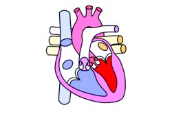 एका शस्त्रक्रियेचा प्रवास!