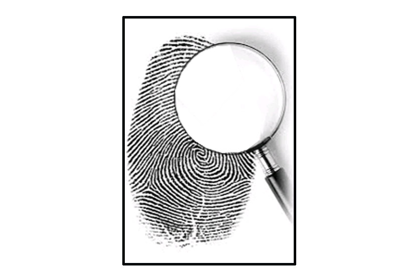 तपासचक्र 