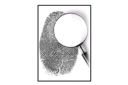 तपासचक्र 