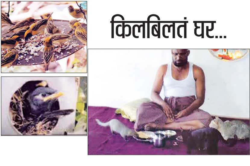किलबिलतं घर.. किलबिलतं घर..