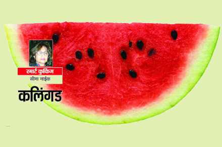 कलिंगड