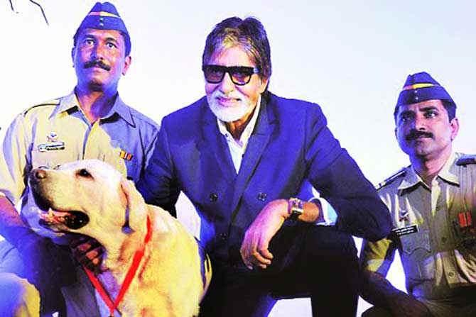 ‘त्यां’ची खरी माणुसकी ‘त्यां’ची खरी माणुसकी