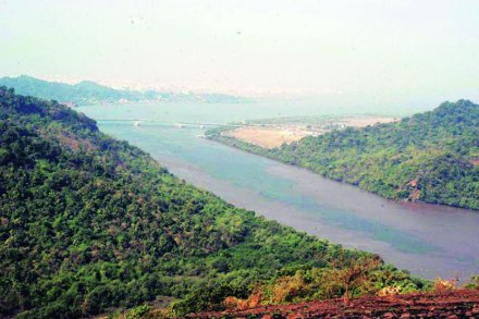 ठाणे खाडीतील मत्स्यप्रजाती नामशेष ठाणे खाडीतील मत्स्यप्रजाती नामशेष