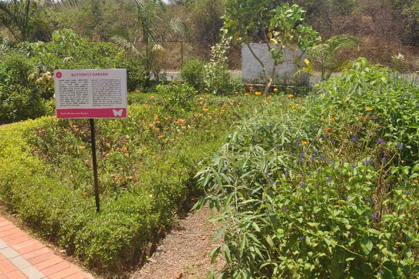 अलिबाग तालुक्यातील तीनवीरा येथे कोकणातील पहिला जैवविविधता प्रकल्प उभारण्यात आला आहे. 