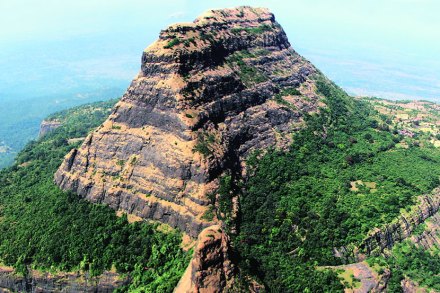 भीमाशंकर अभयारण्याच्या हद्दीतील सिद्धगडाचे हे छायाचित्र समोरच्याच धमधम्या या कडय़ावरून घेतल्यामुळे त्याला हवाई छायाचित्रणाचा परिमाण लाभला आहे. भीमाशंकर अभयारण्याच्या हद्दीतील सिद्धगडाचे हे छायाचित्र समोरच्याच धमधम्या या कडय़ावरून घेतल्यामुळे त्याला हवाई छायाचित्रणाचा परिमाण लाभला आहे.