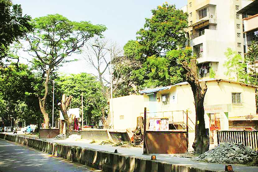 विकासकामांच्या निमित्ताने शहरातील हजारो झाडे तोडली जात असून त्यांचे पुनरेपणही व्यवस्थित केले जात नाही. 