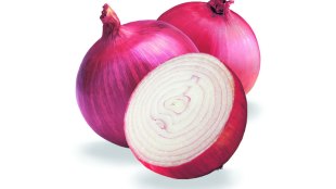 Central government , farmers , onion , minimum support price , Nashik, Drought, Loksatta, Loksatta news, Marathi, Marathi news