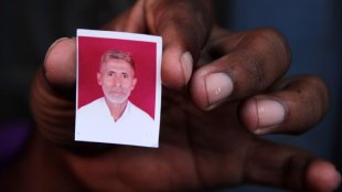 cow , beef ban, Dadri lynching , Meat sample , Mathura based forensic lab, Loksatta, loksatta news, Marathi, Marathi news
