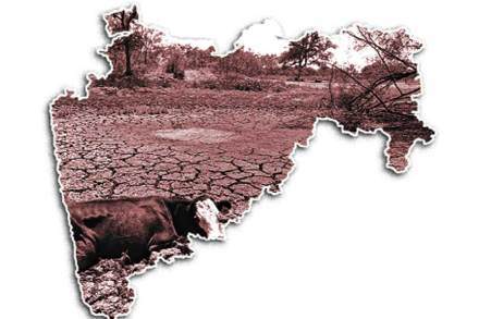 कृष्णा-वारणा काठही दुष्काळाने होरपळला कृष्णा-वारणा काठही दुष्काळाने होरपळला