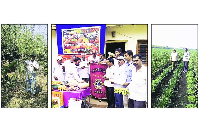 विषमुक्त अन्नासाठी नैसर्गिक शेती विषमुक्त अन्नासाठी नैसर्गिक शेती