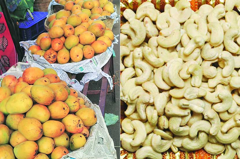 यंदा हवामानातील बदल, अवेळी कोसळणाऱ्या पावसामुळे आंबा व काजू पिकात पन्नास टक्के घट झाली आहे.