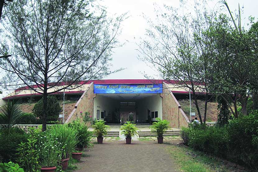 सहज सफर : मिठी नदीकाठचा ‘स्वर्ग’