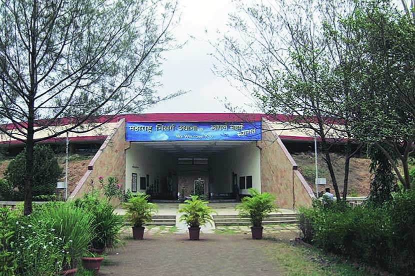 सहज सफर : मिठी नदीकाठचा ‘स्वर्ग’ सहज सफर : मिठी नदीकाठचा ‘स्वर्ग’