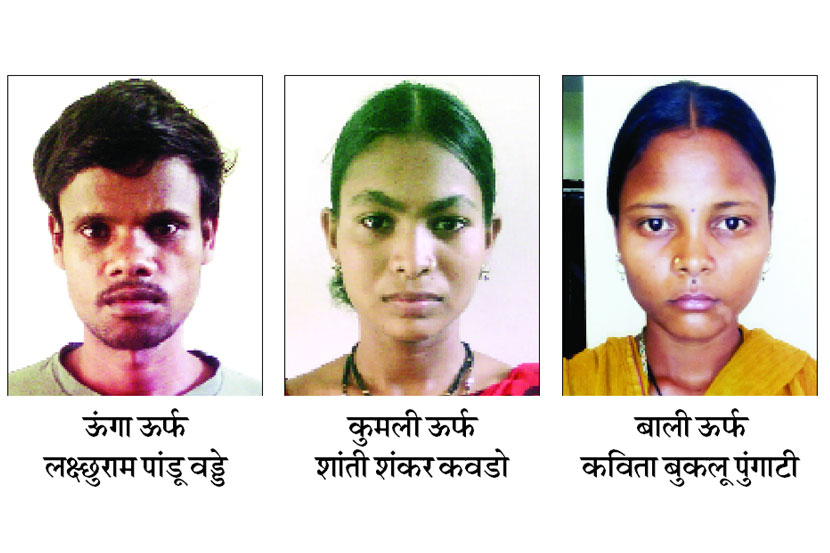 गडचिरोलीत आणखी तीन जहाल नक्षलवाद्यांची शरणागती