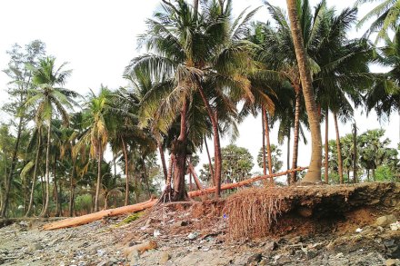 तुफानी लाटांनी नागाव समुद्रकिनारा दुभंगाच्या वाटेवर तुफानी लाटांनी नागाव समुद्रकिनारा दुभंगाच्या वाटेवर