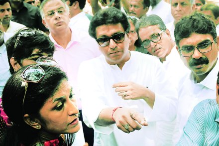 राज ठाकरे यांनी पालकांच्या शिष्टमंडळासह मुख्यमंत्र्यांची भेट घेतली. 