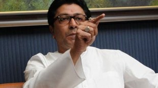 separate vidarbha, MNS, Raj Thackeray , BJP, election, Loksatta, Loksatta news, Marathi, Marathi news