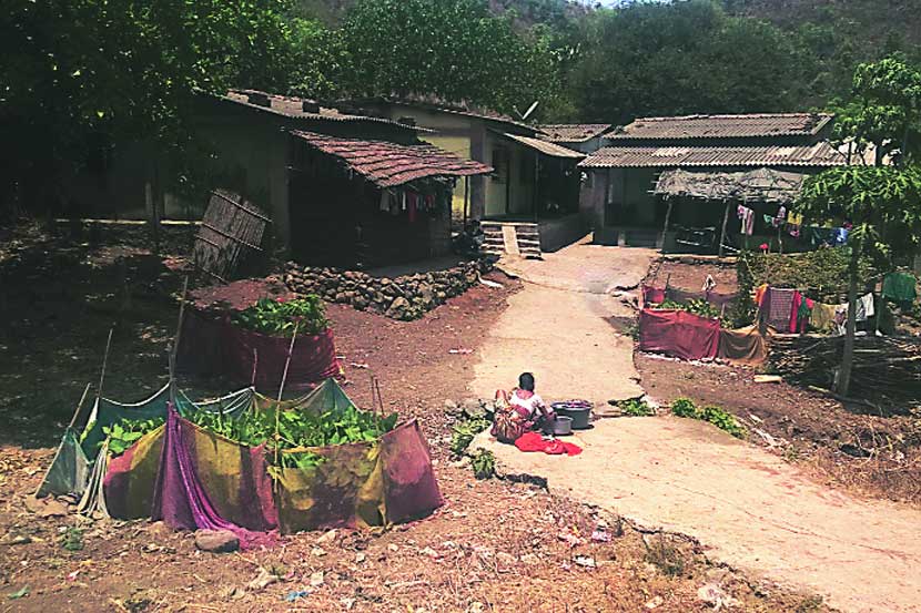 प्रतिनिधिक छायाचित्र