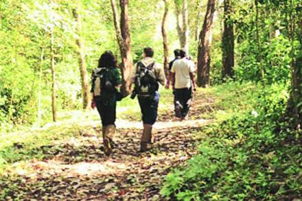वीकेण्ड  विरंगुळा : रविवारी सकाळी निसर्गाच्या सान्निध्यात