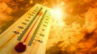 Heat Wave , Temperature