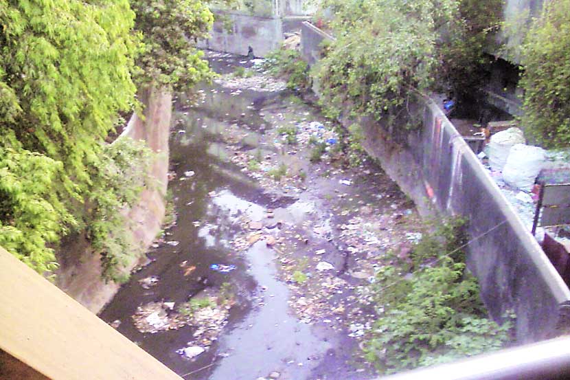 कल्याण पश्चिमेतील जरीमरी नाल्यातील गाळाचे थर व त्यावर अडकलेल्या प्लॅस्टिक पिशव्यांचा थर.