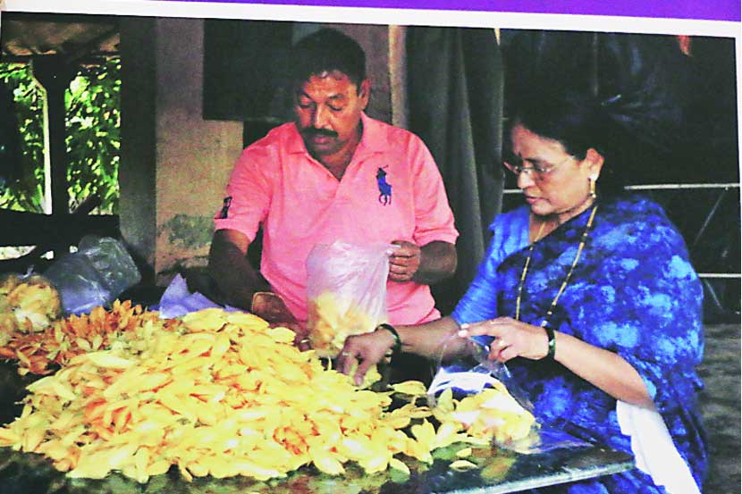 वसईचा चाफा गावातच खुलेना