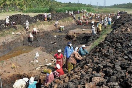 असंघटित कामगारांसाठी आता एकच मंडळ..