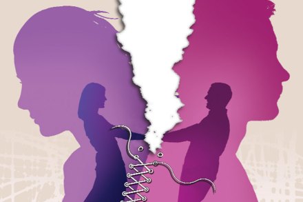 Husband can't make compulsion on wife , Nagpur, Family court , leave job , Women rights, Loksatta, Loksatta news, Marathi, Marathi news Husband can't make compulsion on wife , Nagpur, Family court , leave job , Women rights, Loksatta, Loksatta news, Marathi, Marathi news