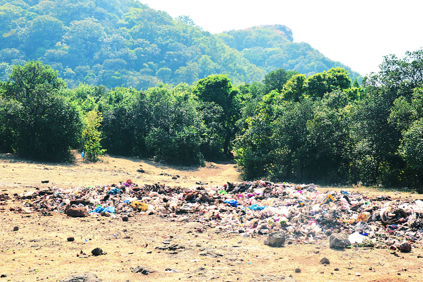 प्रतिसाद : प्लास्टिक नावाचा भस्मासुर
