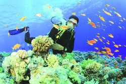 सागरी जैवशास्त्राचा अभ्यास