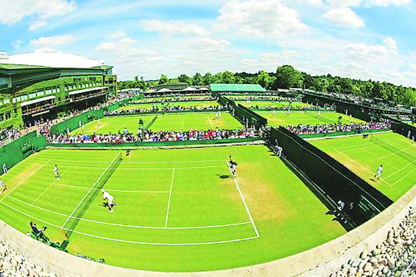 गवतावरची हिरवीगार मैफल गवतावरची हिरवीगार मैफल