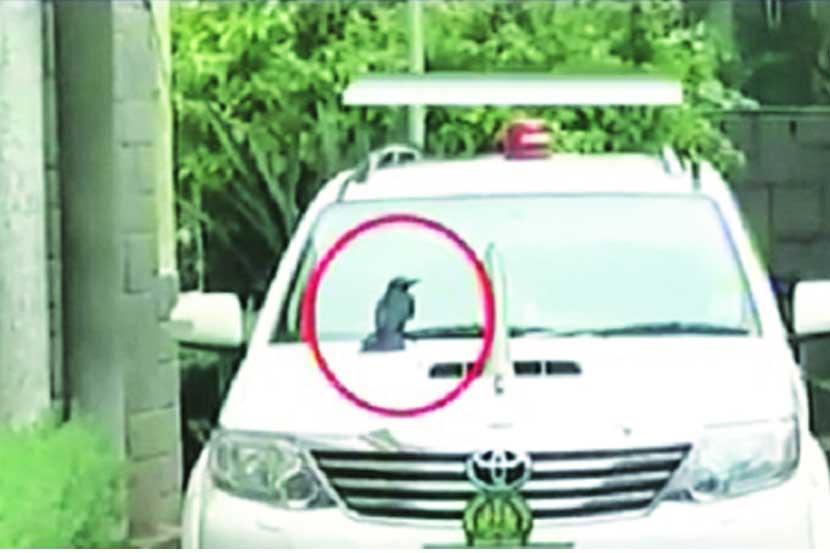 कावळा बसायला अन्..